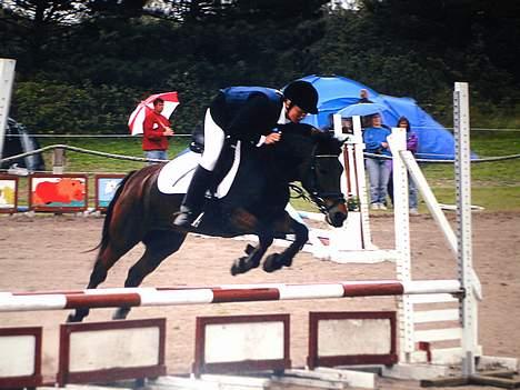 Anden særlig race Polly ¤Supermule¤ RIP - Danske Bansk Cup 04 billede 4