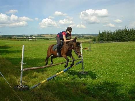 Anden særlig race Polly ¤Supermule¤ RIP - sommeren 05 lodret 110 cm billede 10