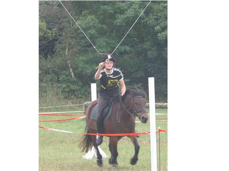 Anden særlig race Polly ¤Supermule¤ RIP - sommeren 06 - ringridning hyllebjerg billede 12