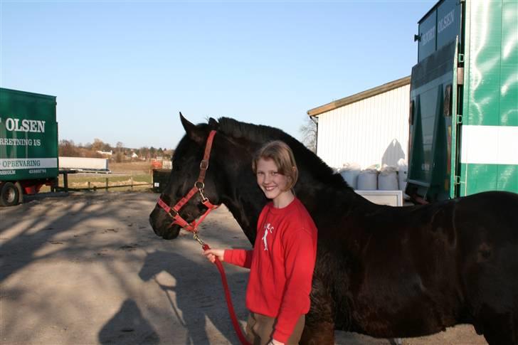 New Forest Olympic Concorde - der var noget spændende corde lige skulle kigge på billede 8