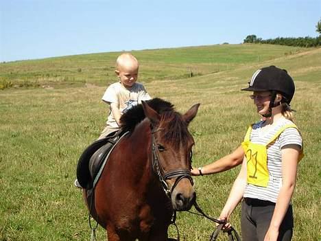 Anden særlig race Polly ¤Supermule¤ RIP - sommeren 06 ringridning kongerslev billede 14