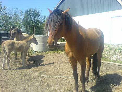 Anden særlig race Max FUNDET:) - Tja Max igen nyt Billede billede 15