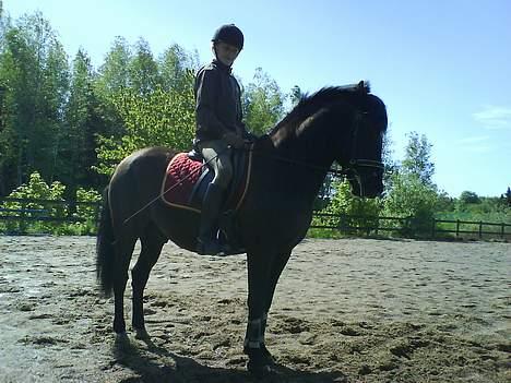 New Forest Olympic Concorde - Så er der parade....... billede 11