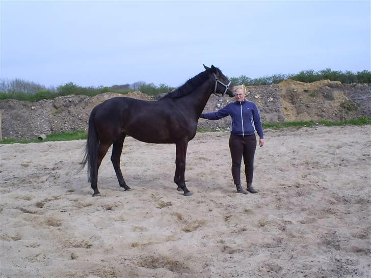 Trakehner Lazio - Hjemme på banen billede 17