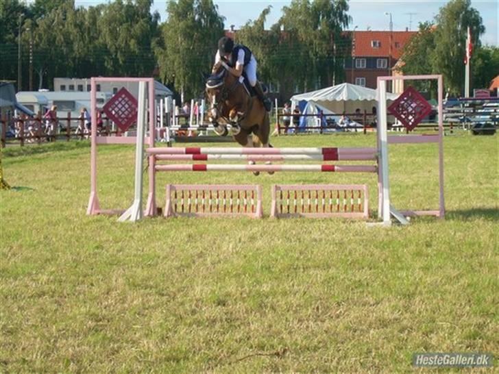Anden særlig race pento<3 SOLGT :'( - hop hop billede 10