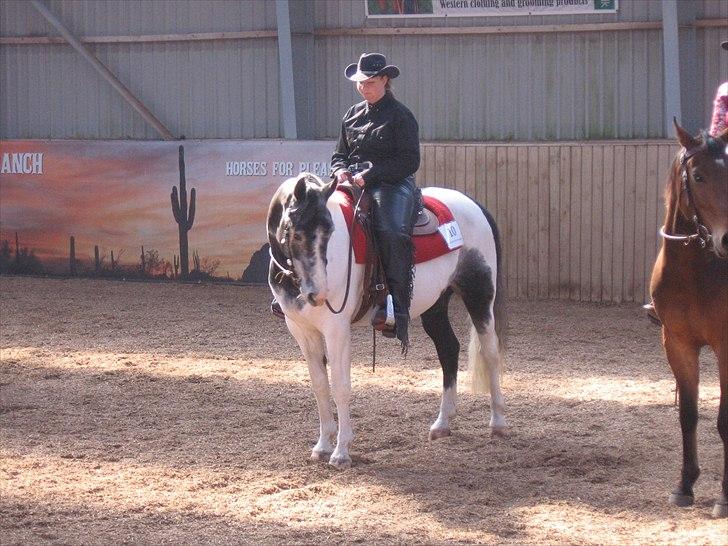 Anden særlig race Skullerup´s Jackpot - Jackpot daglig træning billede 12
