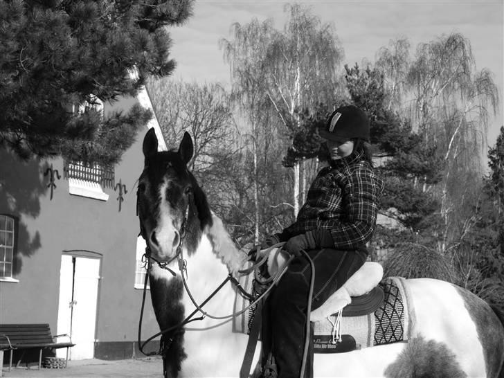 Anden særlig race Skullerup´s Jackpot - Jackpot på gåtur :-) billede 13