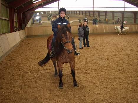 New Forest ¤ Esther ¤  - Skridter lige lidt imellem klasserne. billede 4