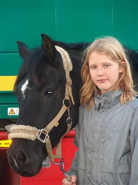 New Forest Olympic Concorde - nær billede :-) billede 13