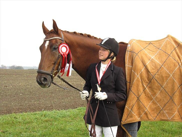 Dansk Varmblod Chameur - Vinder af klubmesterskab 2010 i LA2 billede 14