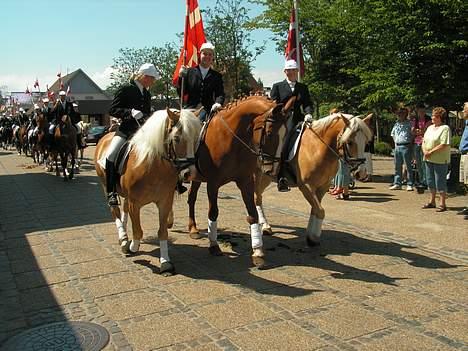 Anden særlig race  R.I.P. Flicka - Til Broager Ringridning 2006 billede 1