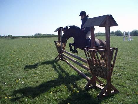 Anden særlig race Ferrytail gammel part :( - Spring  billede 16