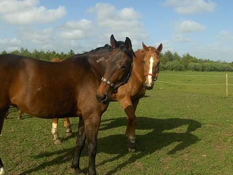 Traver Mille<3 solgt - Mille og hendes gamle kæreste wolgang ;D <3 billede 2