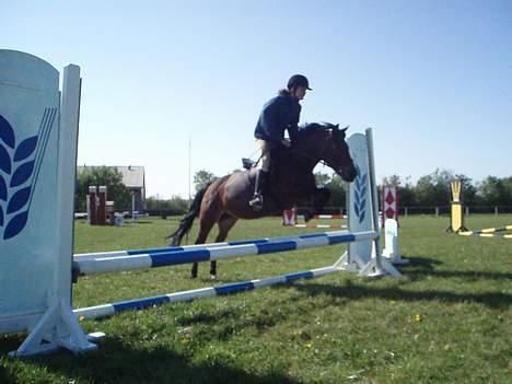 Anden særlig race Ferrytail gammel part :( - Spring billede 19