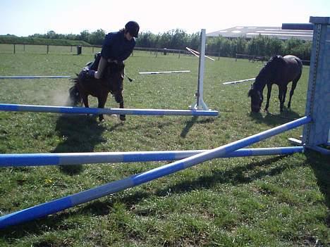 Anden særlig race Ferrytail gammel part :( - Falder lige af xD billede 20