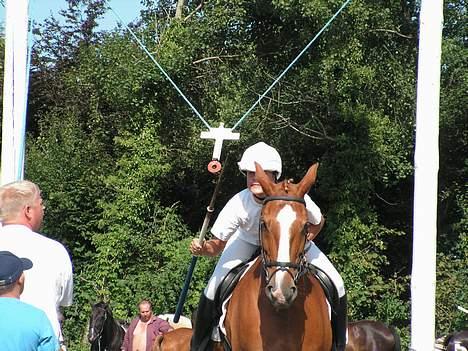 Anden særlig race  R.I.P. Flicka - Jean og Flicka til Ringridning sidste år (2006) billede 4