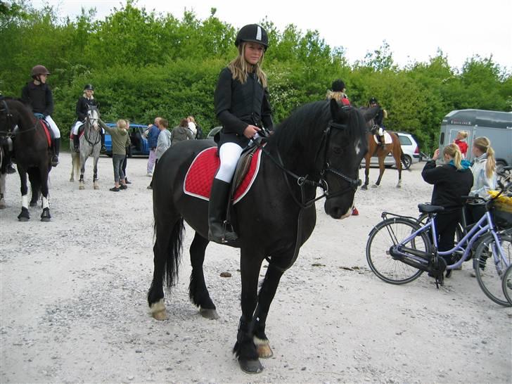 Anden særlig race Misty <3 - Jagt i vestskoven '08. billede 8