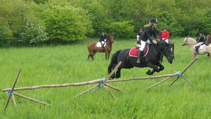 Anden særlig race Misty <3 - Jagt i vestskoven '08. billede 9