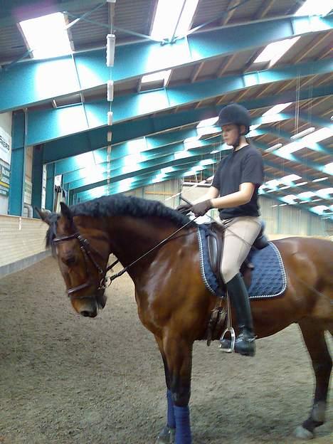 Oldenborg Jeppe af Østerholm (SOLGT - Jeppe og jeg <3 Lørdag d. 19. maj 2007 billede 9