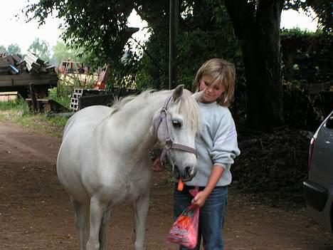 Welsh Mountain (sec A) Petit (Gamle pony ) - Mig og Petit <3  billede 3
