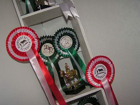 Welsh Mountain (sec A) Petit (Gamle pony ) - Nogle a dem vi har vundet billede 4