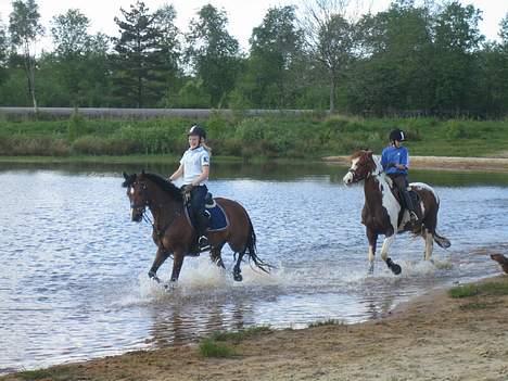 Tysk Sportspony Chemin De Royal  *Solgt - mig og simone <3 det er bare såååå sjovt (: hihi billede 13