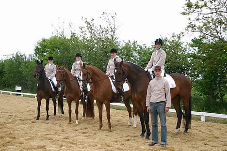 Dansk Varmblod Star-Light - tjæreborgs hold ved kraft cup 2007 fra v.mig,mette,jane,pia og hvores hold leder/berider bruno billede 10
