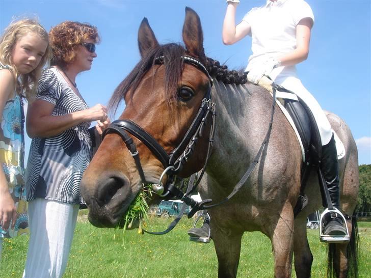 Anden særlig race Dusty  - sommer 2007. efter vores første lb2, som gik godt. foto: min far. billede 10