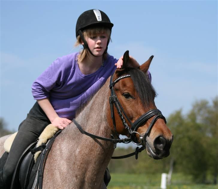 Anden særlig race Dusty  - forår 2008. ligner jeg skubber hans ører frem :) foto: hux. billede 13