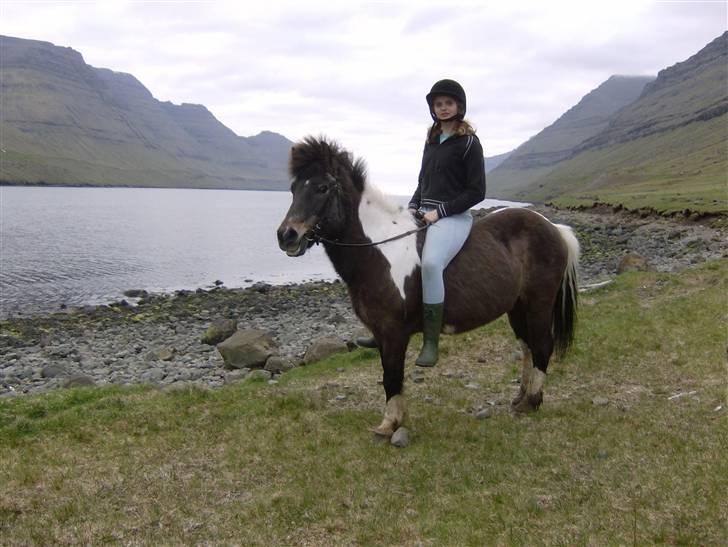 Færøsk hest Blanka [Haft i pleje] - Ella Súsanna og Blanka :D | 26-05-2008 billede 17