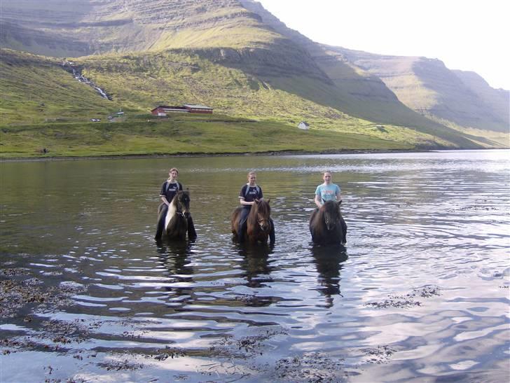 Færøsk hest Blanka [Haft i pleje] - Ude i vandet :D | 18-08-2007 billede 18