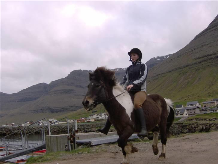Færøsk hest Blanka [Haft i pleje] - Mig og Blanka traver =) | 26-05-2008 billede 20