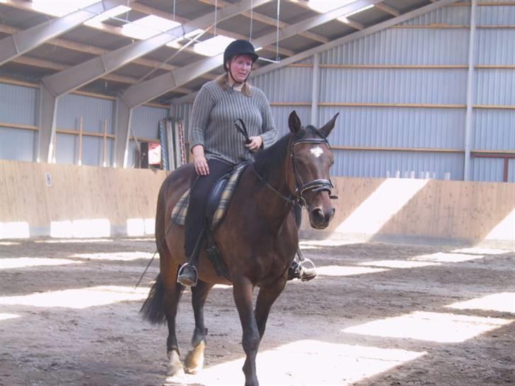 Dansk Varmblod galanta bortgivet - ride billede af galanta og mig billede 2
