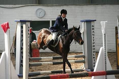 Traver Herculine billede 13