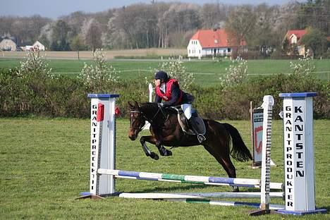 Traver Herculine billede 14