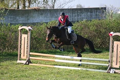 Traver Herculine billede 16