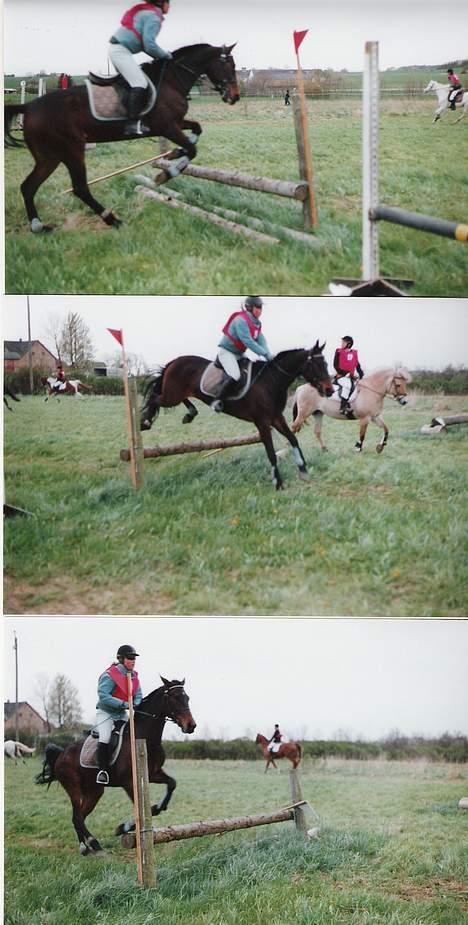 Traver Herculine billede 17