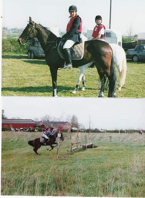 Traver Herculine billede 18