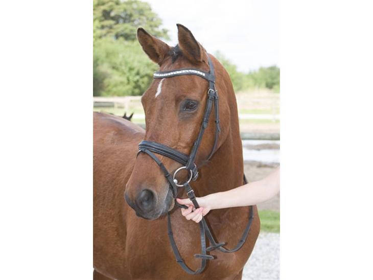 {{currentPhoto.altText}} billede {{currentPhoto.number}}