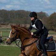 Arabisk fuldblod (OX) Ivalina Wind