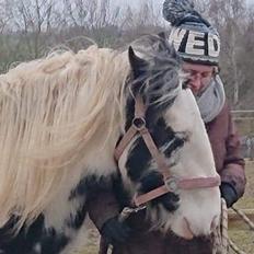 Anden særlig race Freja