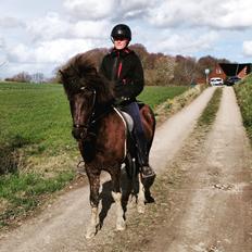 Islænder Ófeigur fra Bakkegården ll