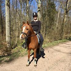 Anden særlig race Fanzo