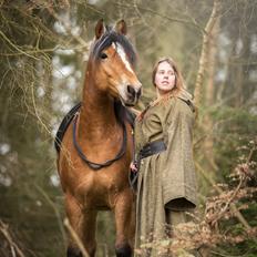 Anden særlig race Revsgaards primo