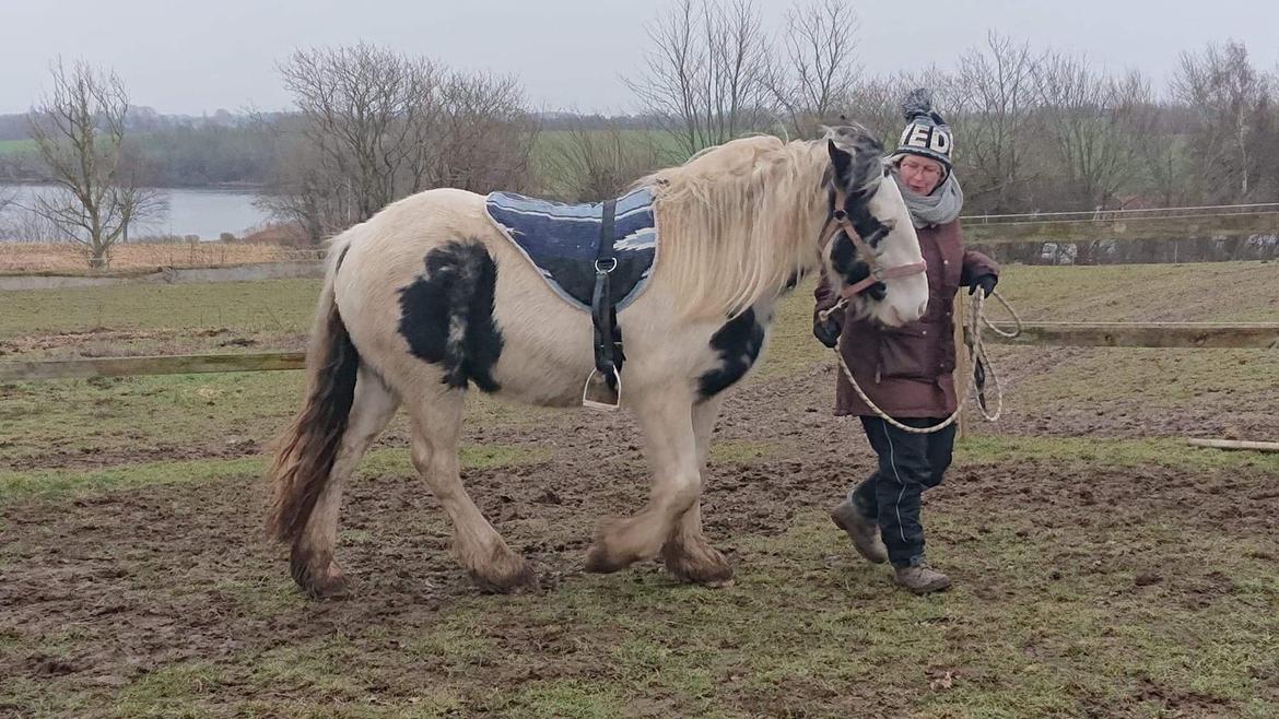 Anden særlig race Freja billede 2