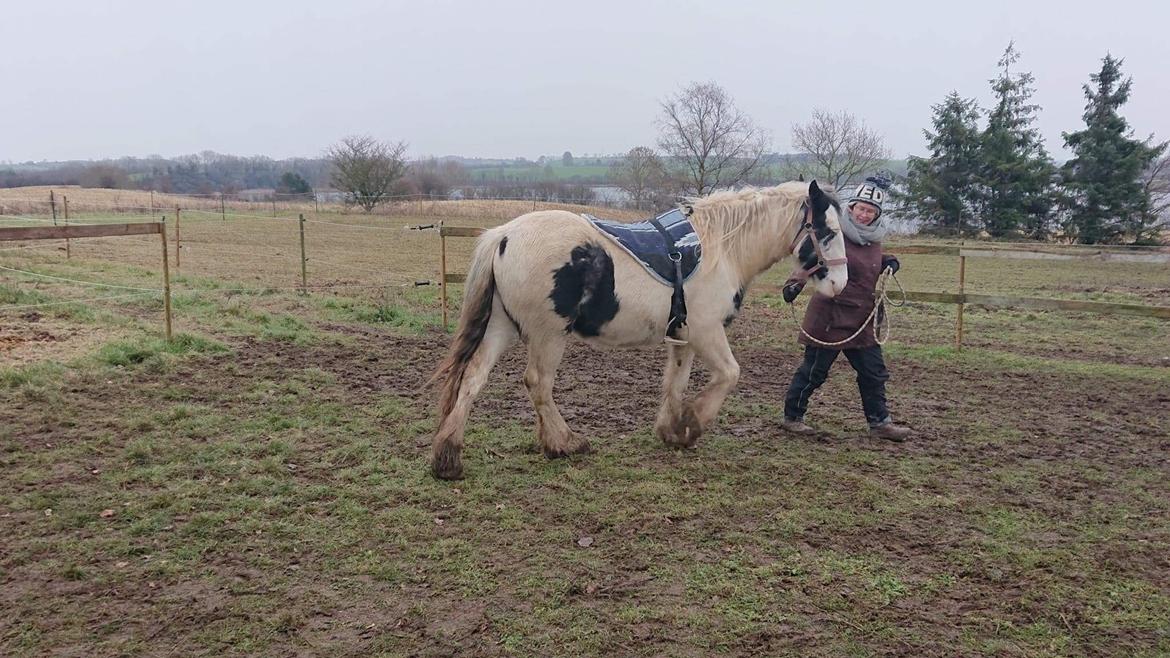 Anden særlig race Freja billede 4