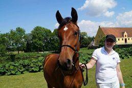 Hispano Araber Skovly's Athena billede 2