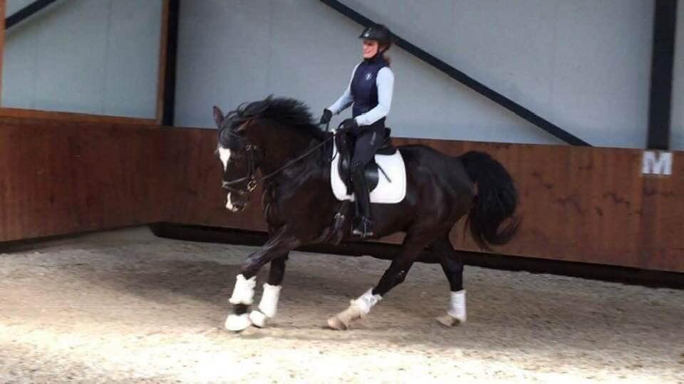 Oldenborg Bahiea's Sako billede 15