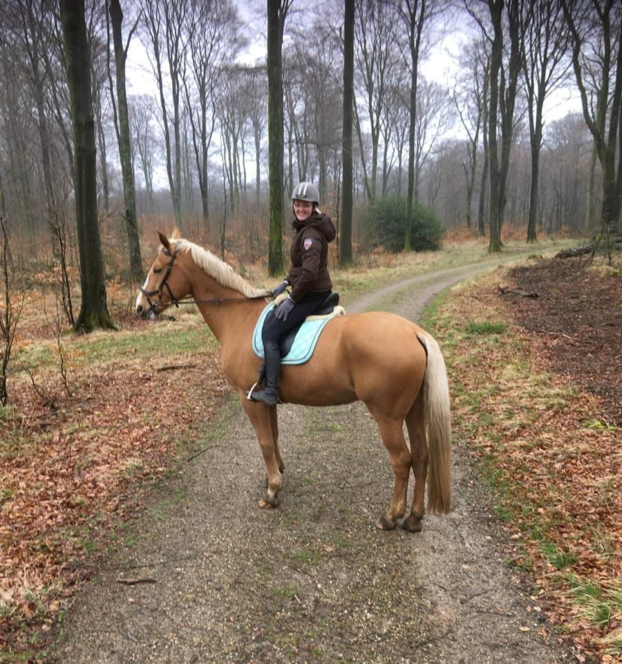 Palomino Kvistgaards Mysteria Lain ¤ My billede 11