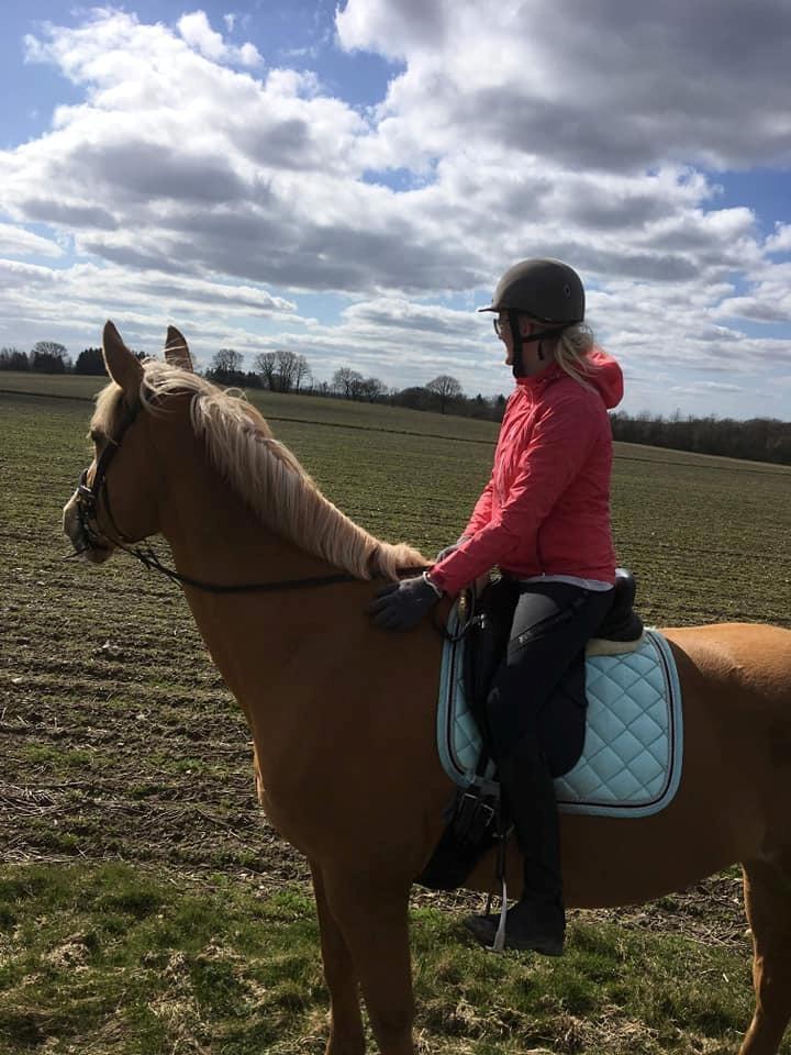 Palomino Kvistgaards Mysteria Lain ¤ My billede 12